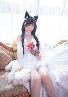 爱壹帆电视剧